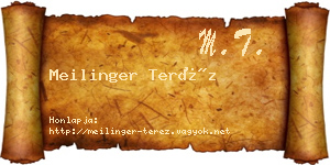 Meilinger Teréz névjegykártya